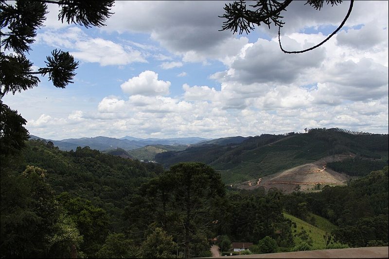 Panorâmica da Serra da Mantiqueira com araucárias em Monte Verde, Minas Gerais